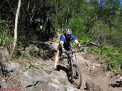 20070520-Bulli 072
